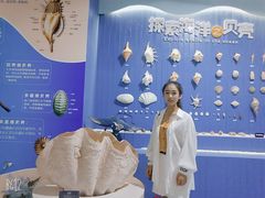 -石家庄海洋公园