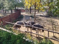 -石家庄市动物园