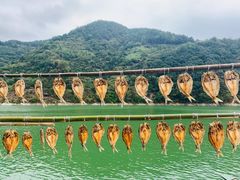 -新安江山水画廊风景区