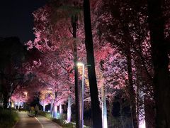 -宁波儿童公园(鄞州区)