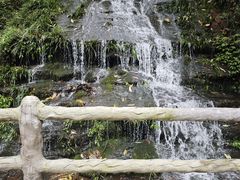 -碧峰峡风景区