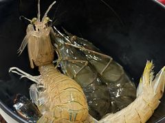 -亚特兰蒂斯-番红花海鲜自助餐厅·鲜活海鲜·小火锅