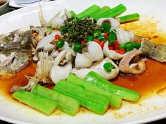 -猪肉婆私房菜(容桂总店)