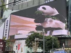 -合景·悠方(成都店)