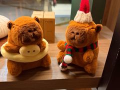 -菩泰·泰式草本按摩SPA(国大城市广场店)