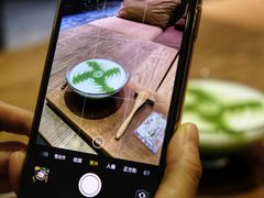 -柴务处·柴犬主题狗咖