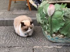 -郑三炮名小吃(公馆老街店)