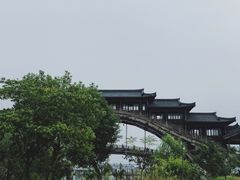 -龙天小镇