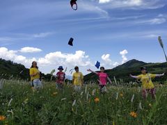 -白草畔自然风景区