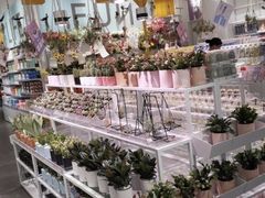 -KKV(深圳宏发大仟里店)