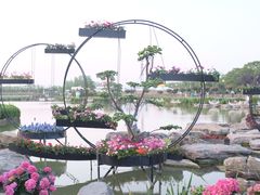 -荷兰花海