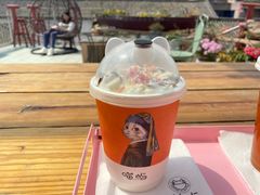 -喵屿·大理花园猫咖