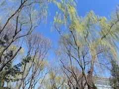 -北京鲁迅博物馆(北京新文化运动纪念馆鲁博馆区)