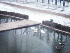 iphone_upload_pic-月亮河温泉度假酒店