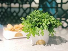 -百年果林椰子鸡(益田假日里店)