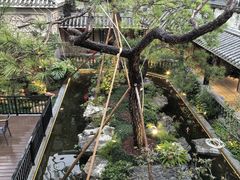 -绿华园休闲山庄