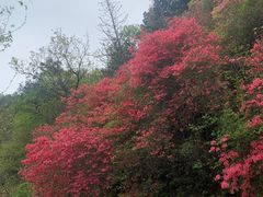 -木兰云雾山