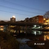 能开窗户了，夏天的时候这里也是一景呢