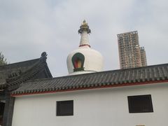 -西塔