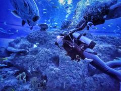 -成都浩海立方海洋公园