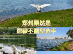-北龙湖湿地公园