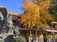 -南京市江宁方山