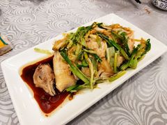 葱油白切鸡-粤·向群饭店(龙津东路总店)
