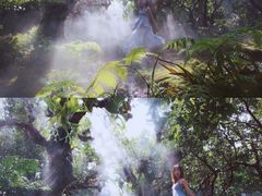 -Chom Cafe and Restaurant