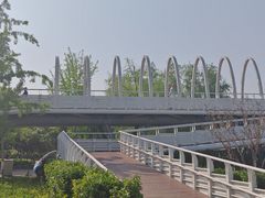 -大兴滨河森林公园