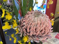 -悦秀·高级粤菜