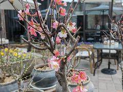 -瓦库茶馆17号(海汇港店)