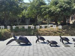 -广东惠东海龟国家级自然保护区