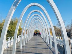 -大兴滨河森林公园