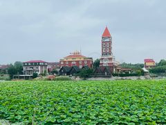 -日照海滨国家森林公园