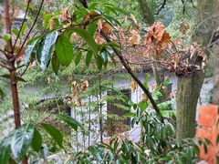 -一江春水·杭帮臻宴(三台山店)