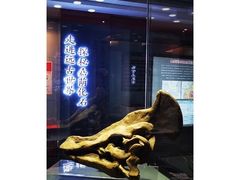 -嘉荫恐龙国家地质公园