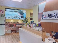 -派联宠物医院·24h·CT·异宠