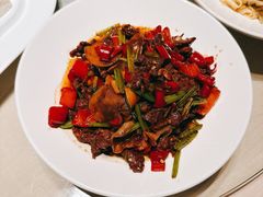 -同庆楼(华强吾悦广场店)