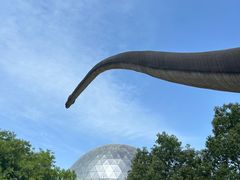 -陕西自然博物馆