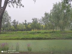 -东郊湿地公园