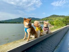 -东钱湖旅游度假区