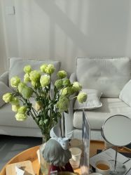 -JNK皮肤管理中心