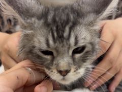 -美联众合动物医院·24h京西诊疗中心