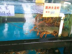 -马王堆海鲜水产市场