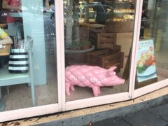 门面-WHEN PIGS FLY当猪飞