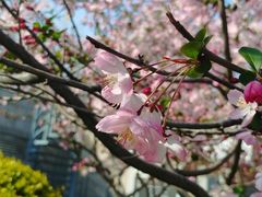-武汉长江大桥