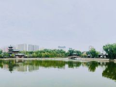 -迎泽公园