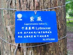 -中国科学院西双版纳热带植物园