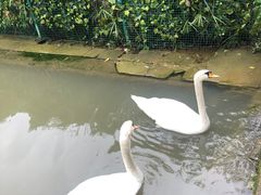 -黔灵山公园-南门售票处