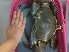 -龙海鲜螃蟹王(宏茂桥店)